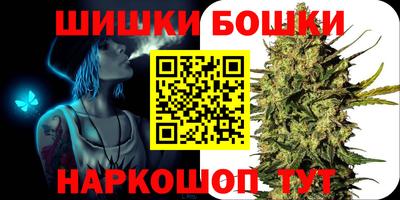 гашик Камышлов