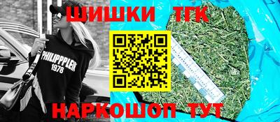 гашик Камышлов