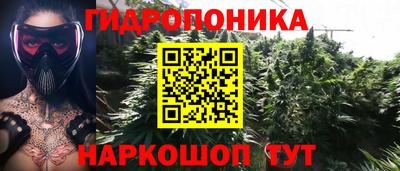 мяу мяу мука Кандалакша