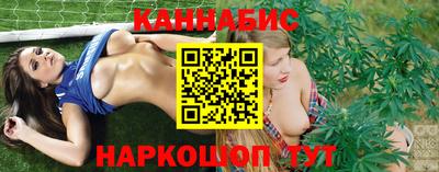 гашик Камышлов