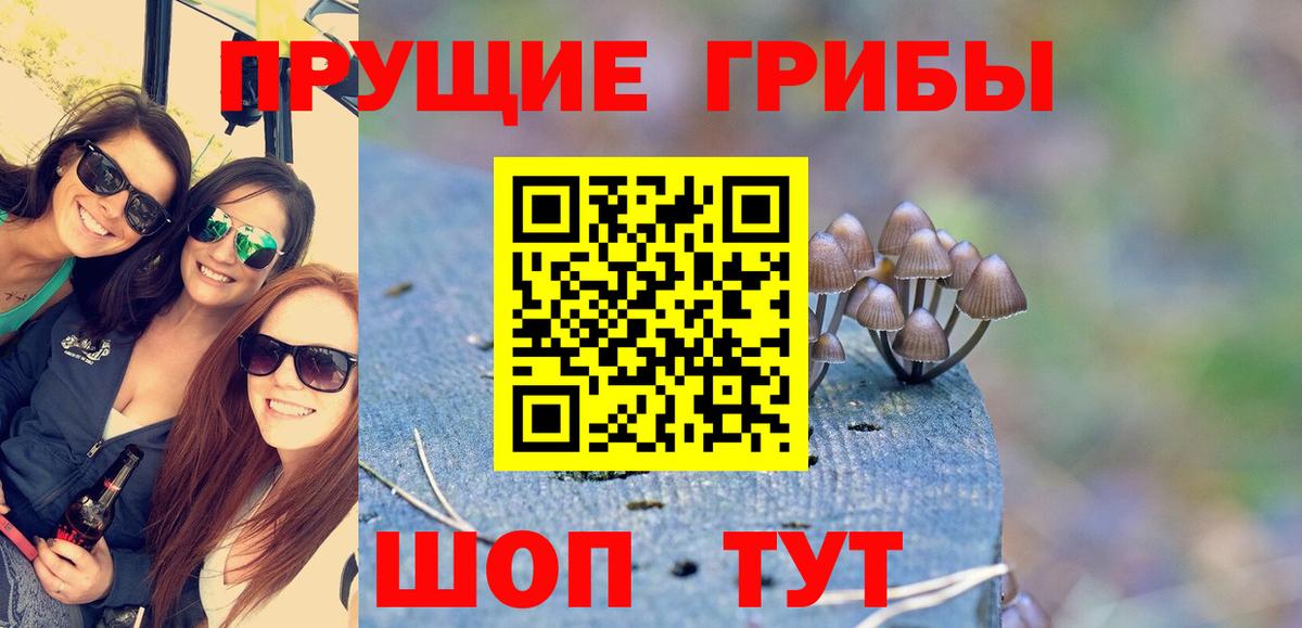 Галлюциногенные грибы ЛСД  Вход с VPN  Волгодонск 