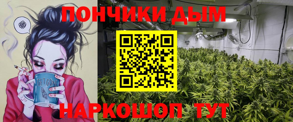 Бошки марихуана семена  Бошки Шишки White Widow  Волгодонск  Вход с VPN 